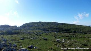 nte Scuderi-23-11-2014 09-49-39